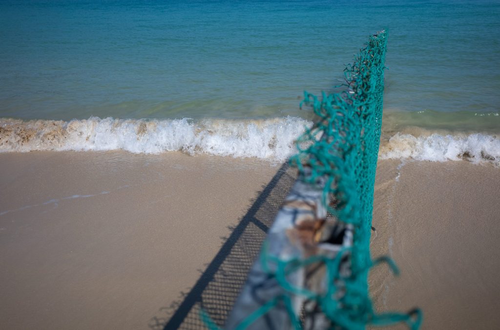 夏日海滨