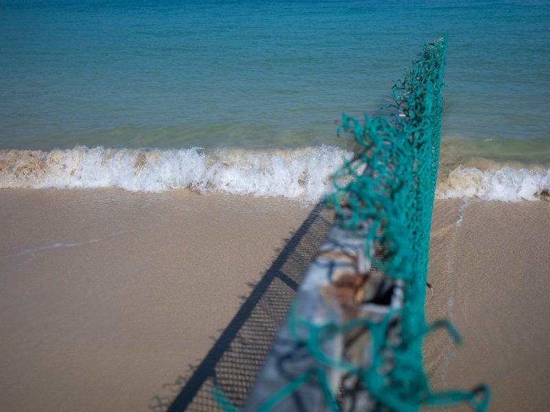 夏日海滨