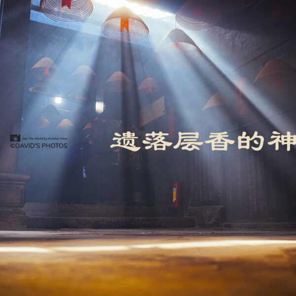 遗落层香的神光