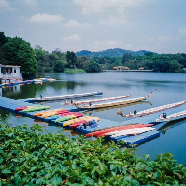 春色满园四月天