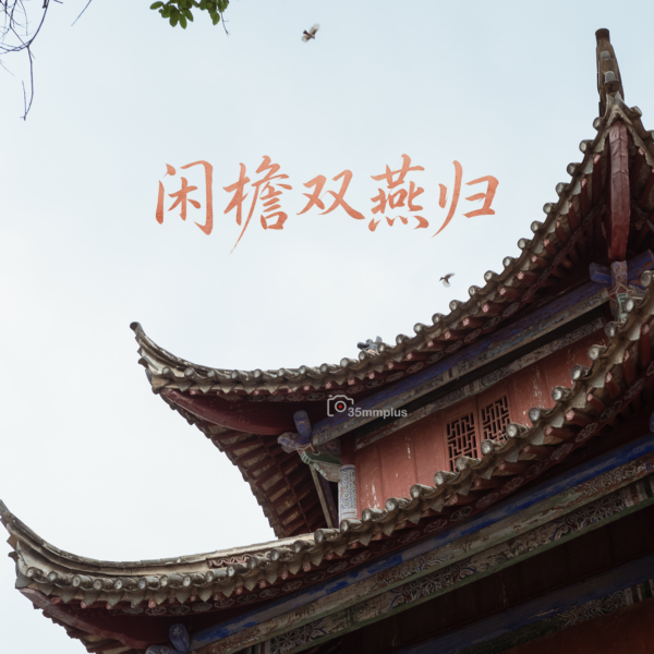 闲檐双燕归