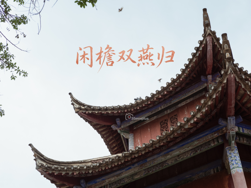 闲檐双燕归