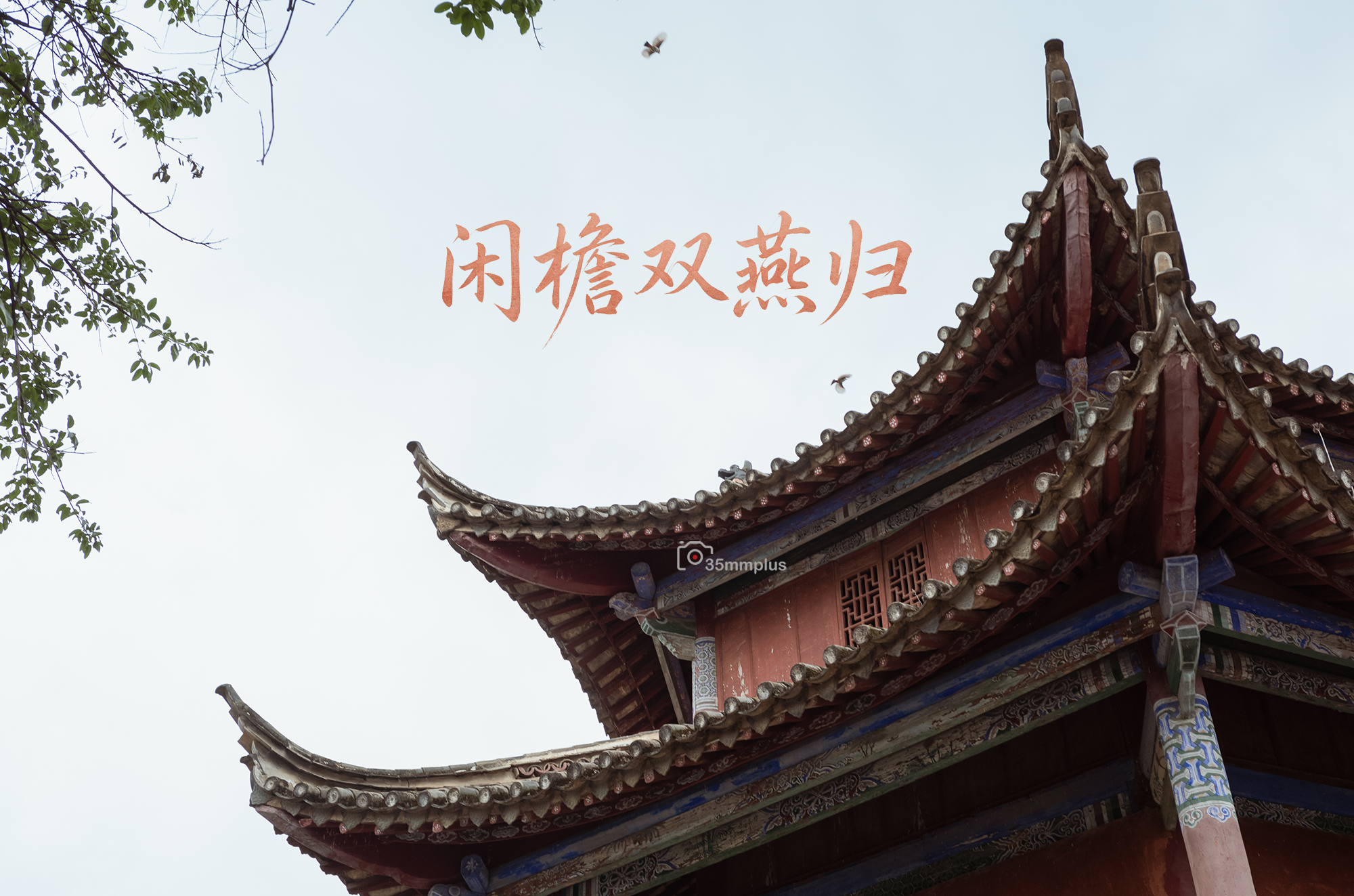 闲檐双燕归